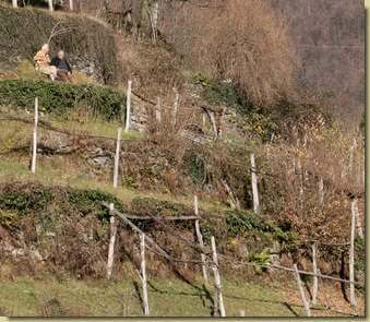 quattro chiacchere al sole...
