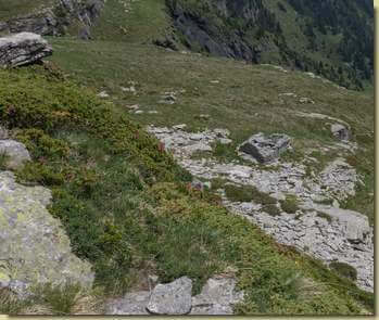 rudere nei pressi dell'Alpe Giove...