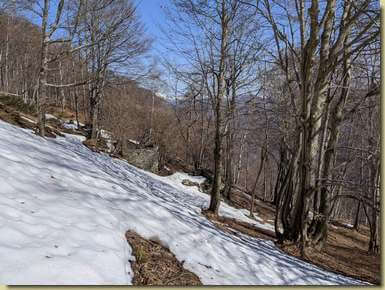 breve divagazione verso l'Alpe Colma...