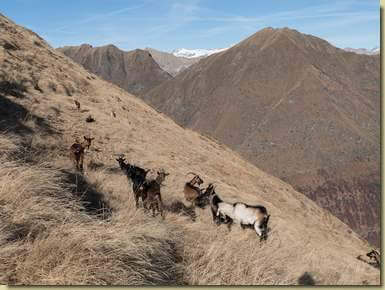 a destra, la Cima Camughera...