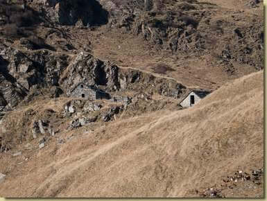 Alpe Ogaggia...