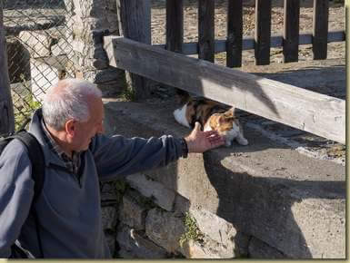 micio di Valleggia...