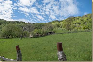 all'Alpe Vercio di sopra...