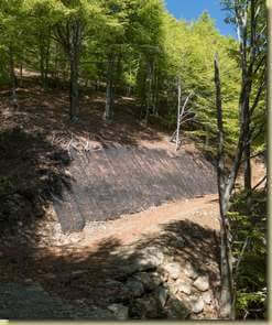 arriva la nuova strada...