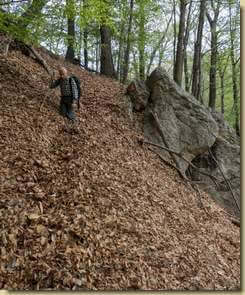 accumulo di foglie...