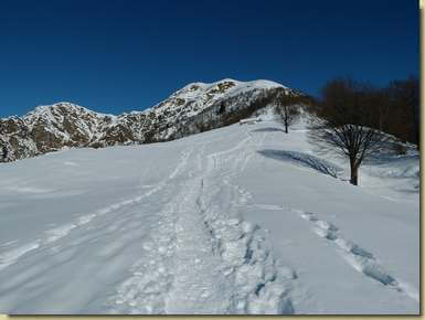 il Pizzo Tracciora...