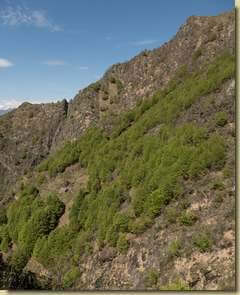vista verso l'Alpe Rosso...