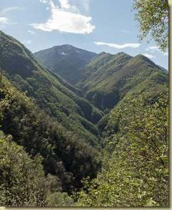 Valle dell'Arsa...