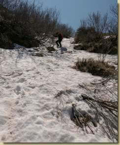 neve residua...