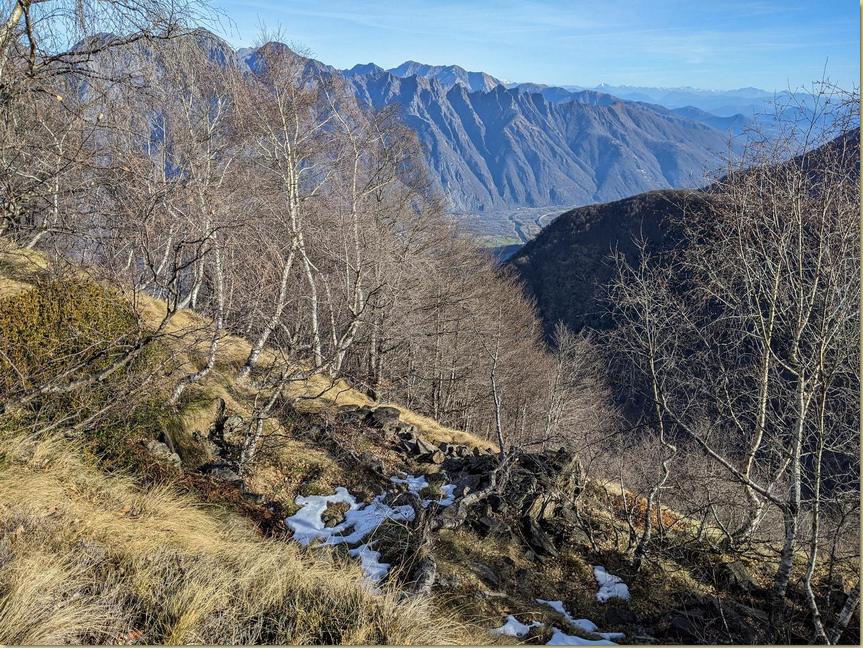 all'Alpe Turi...