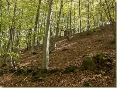 le baite inferiori di Cresta...