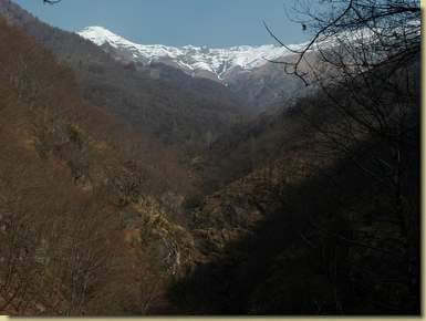 vista verso l'alta Valle del Cavaglio...