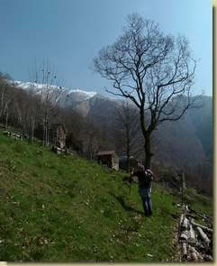 arrivo ad Arnasc...