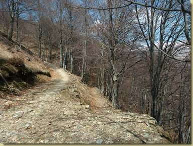 arrivo del sentiero alla strada delle Biuse...