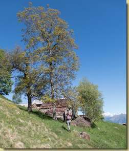 arrivo all'Alpe Orcocro...