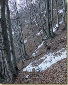 traverso...