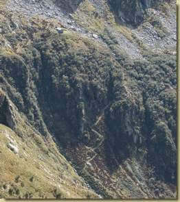 il sentiero che scende da Rosenza alta...