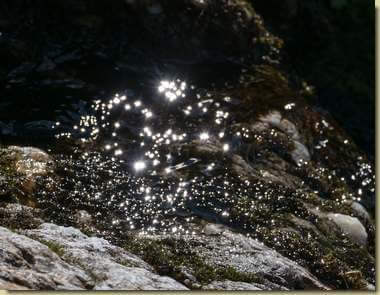 riflessi sull'acqua...