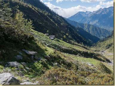 verso l'Alpe Rosenza bassa...