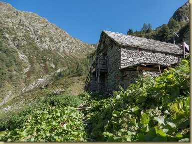 Alpe Rosenza bassa (Fai)...